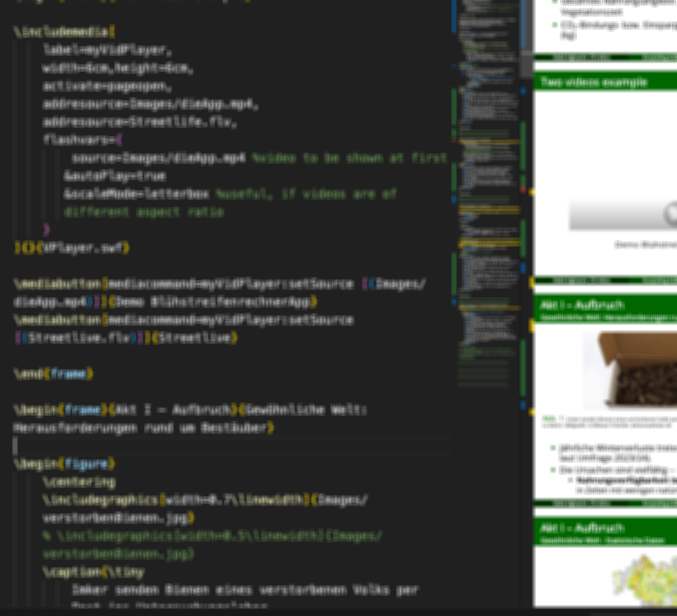 Videos in LaTeX-Beamer-Präsentationen einbetten